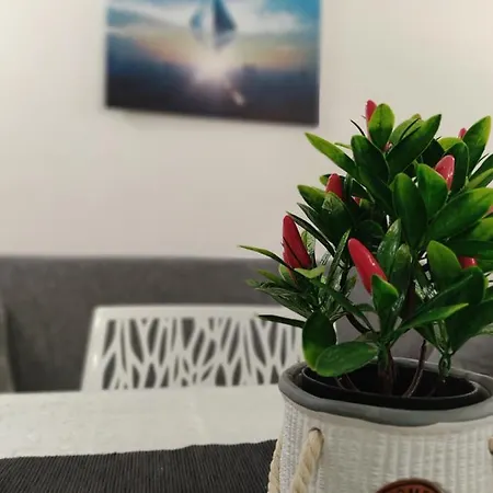 Salento Bit House Apartment *